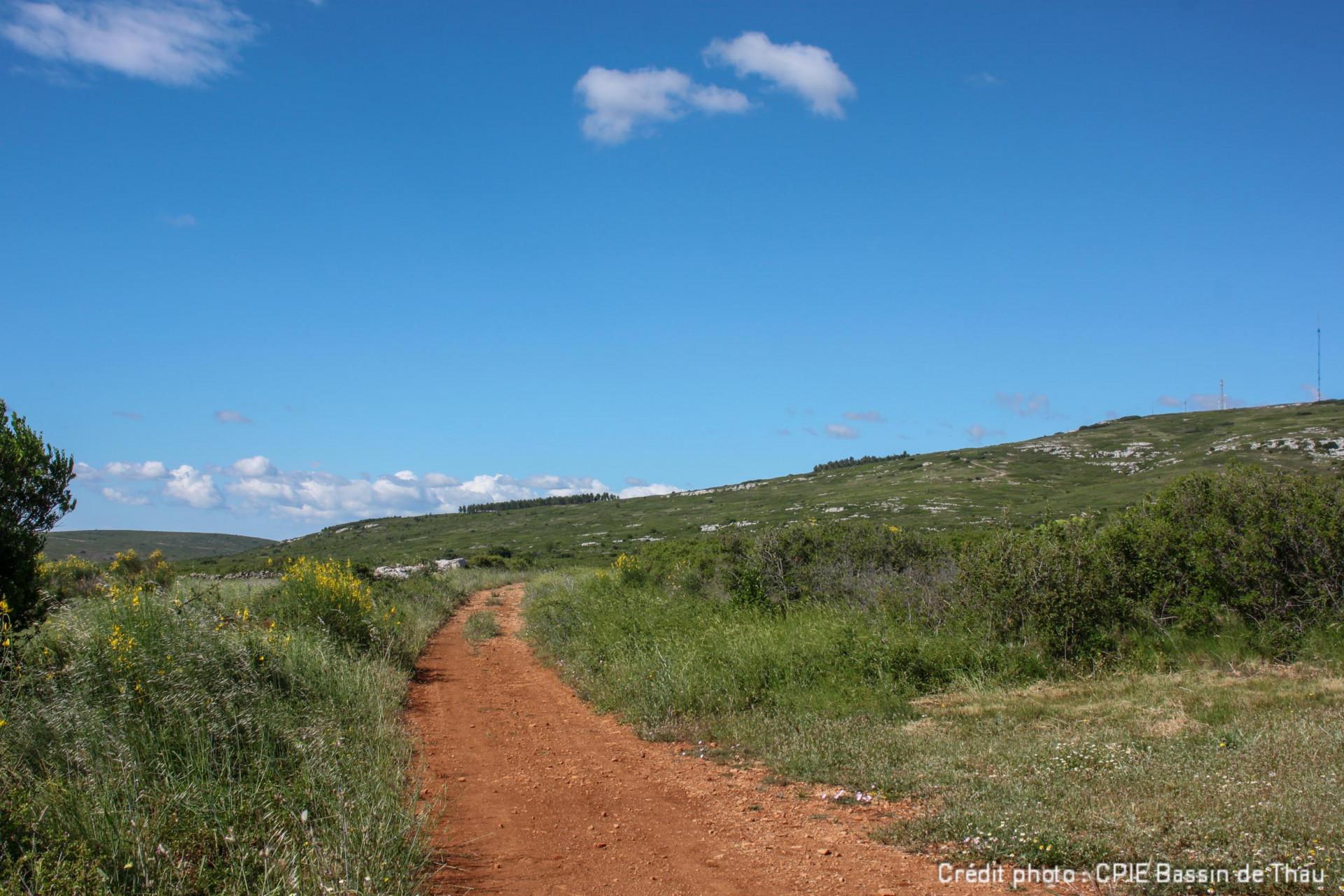 LA GARRIGUE À L’ÉPREUVE DU TEMPS