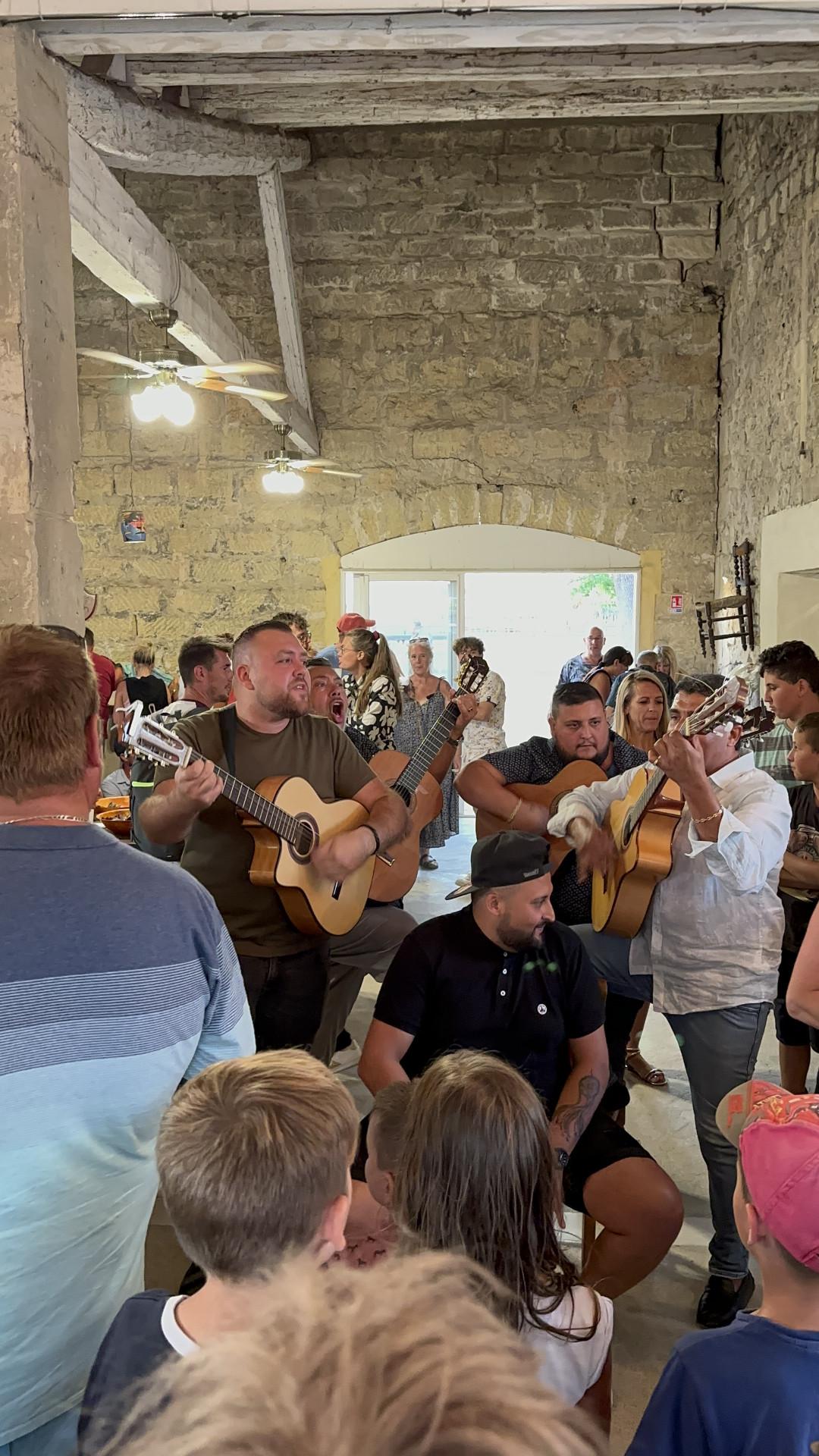 EXCURSION EN MINIBUS AVEC O'THAUBUS : SOIRÉE CAMARGUAISE